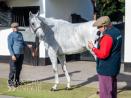 NH051025-13 - The Carpenter